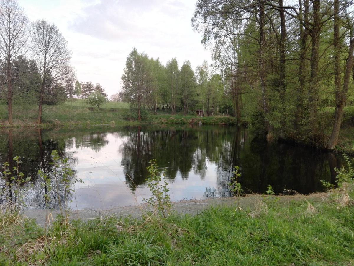 Villa Kaszubska Dolina Pieciu Stawow Wiele Esterno foto